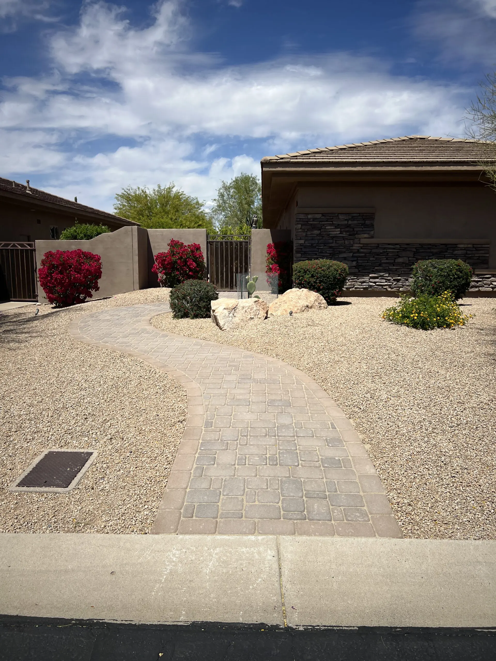 Modern desert landscape front yard with paved walkway, gravel, vibrant magenta bougainvillea flowers, and architectural home with stone accents under blue sky