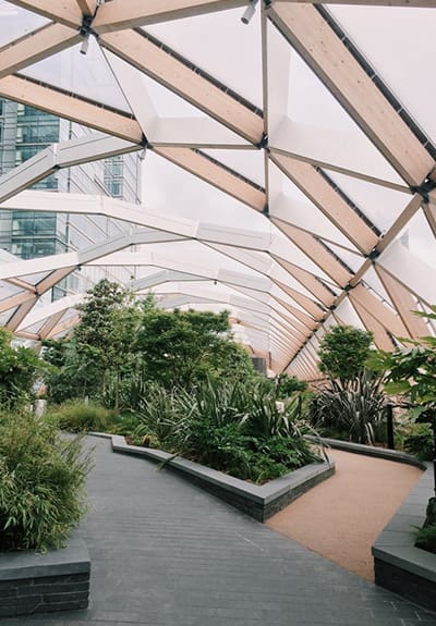 A garden with plants and trees in it.